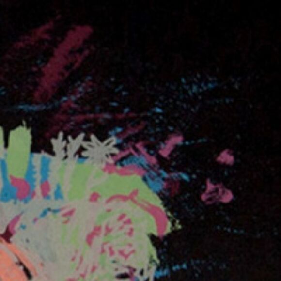 "Hypnotized" : 6 color screen print - Picture 5 of 5